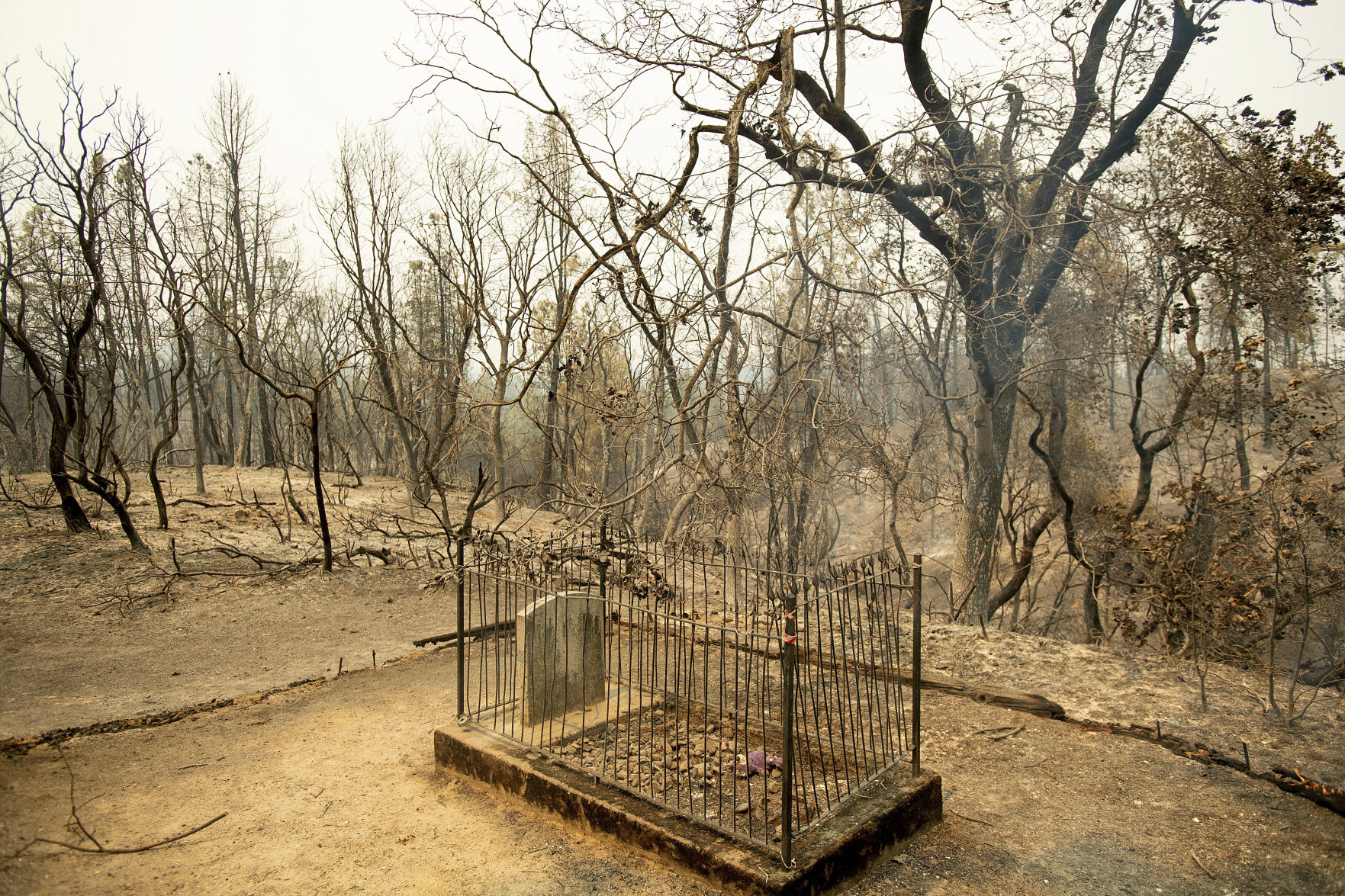 California Wildfires